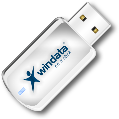Windata on a stick.jpg
